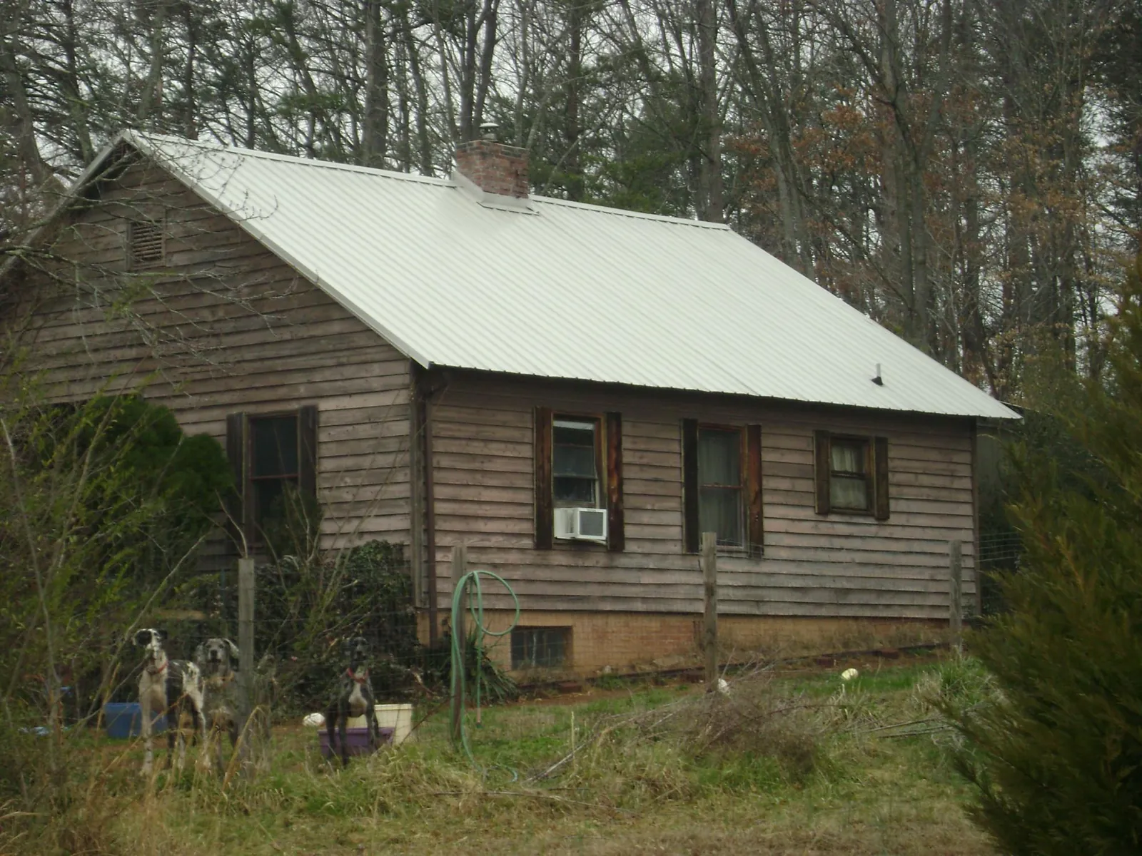 White metal roof on an old wood sided farmhouse, from a Asphalt Shingle Roof Repair job in Rock Falls